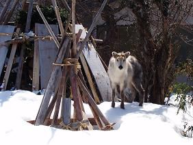 ★。★美蔵に遊びにきました？
