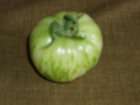 ★。★みどりのトマト収穫！！・・・美蔵