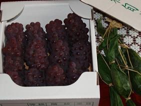 ★。★ペット供養祭自慢の産品・・・美蔵
