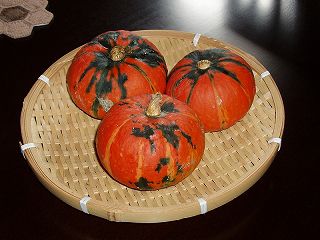 ★。★赤い坊ちゃんかぼちゃ・・・美蔵