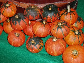 ★。★美蔵のハロウィン