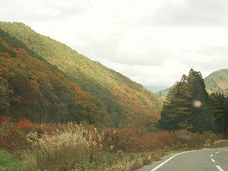 ★。★昨日の紅葉・・・美蔵