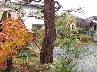 ★。★とうとう今年３回目の雪です（－。－）；・・・美蔵