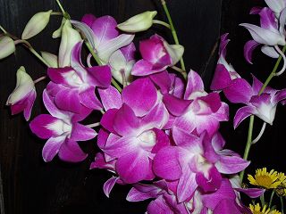 ★。★お買い得な花束見つけました・・・美蔵