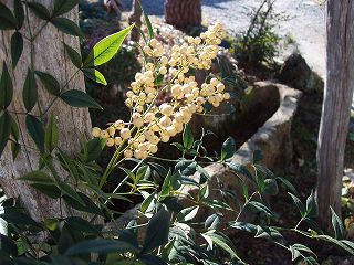 ★。★難をてんじて・・・美蔵