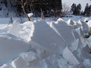 ★。★屋根からものすごいものが・・・美蔵