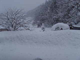 ★。★美蔵は埋まっております（－。－）；