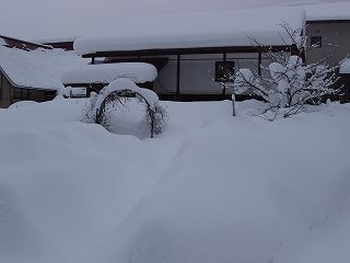 ★。★美蔵が埋もれました（－。－）；