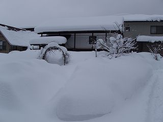 ★。★明日はお休みさせていただきます・・・美蔵
