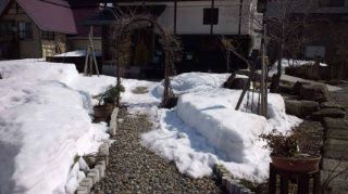 ★。★やっと雪が少なくなりました・・・美蔵