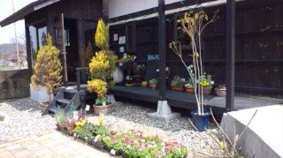 ★。★美蔵のお花達