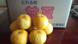 ★。★三重県より夏のくだもの届きました・・・美蔵