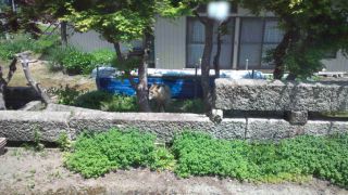 ★。★おっ　見えますか？？？美蔵