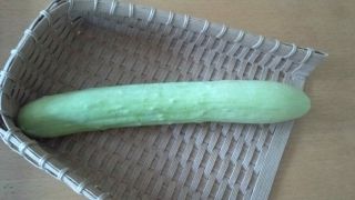 ★。★へぇ～こんなの見たことない（＞。＜）・・・美蔵