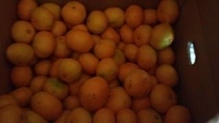 ★。★三重県から季節のくだものが届きました・・・美蔵