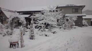 ★。★やっぱり雪がつもりました・・・美蔵