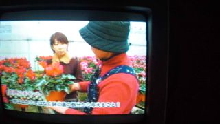 ★。★ＮＣＶの番組に・・・美蔵
