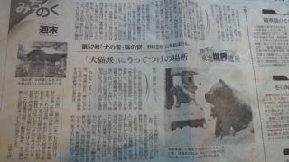 ★。★犬の宮・猫の宮が・・・美蔵