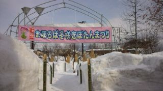 ★。★今日から冬ぼたん祭りですょ～・・・美蔵