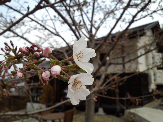 ★。★雨模様でスタートですが・・・美蔵