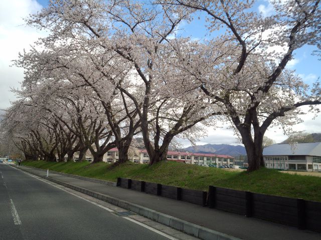 ★。★高畠のお花見の名所１・・・美蔵