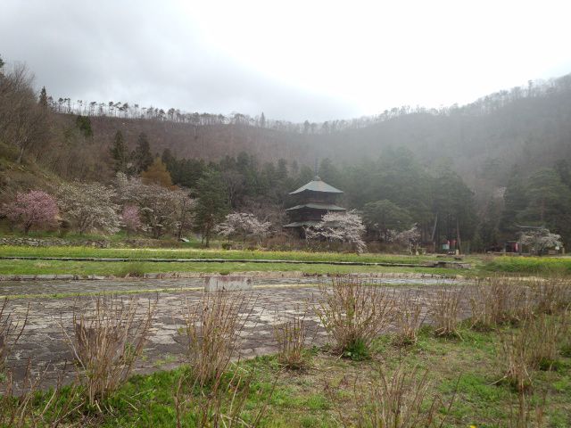 ★。★ここも高畠のお花見の名所２・・・美蔵