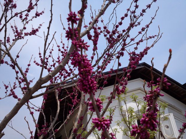 ★。★子供の日の今日は・・・美蔵