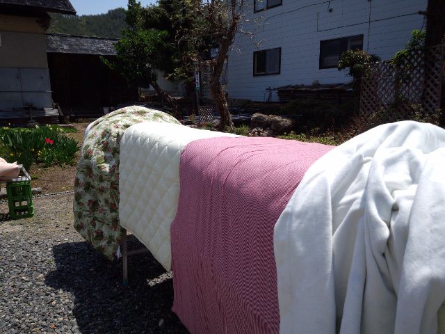 ★。★本日は、日光浴日和？？？・・・美蔵