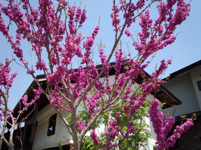 ★。★本日、定休日です・・・美蔵