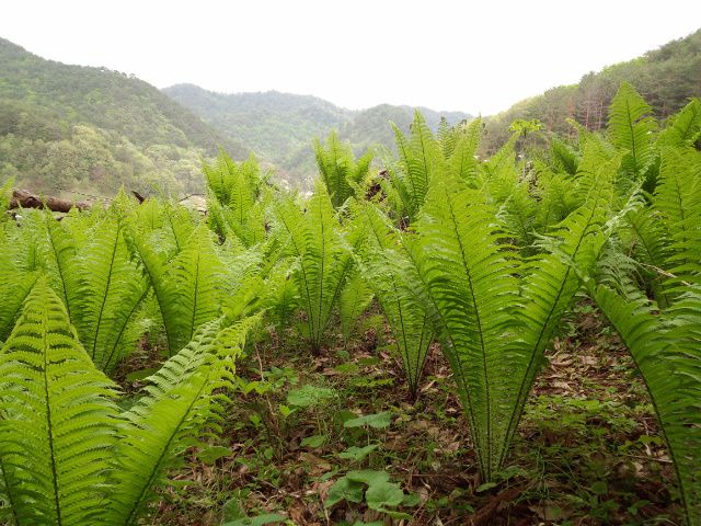 ★。★本日、定休日です・・・美蔵