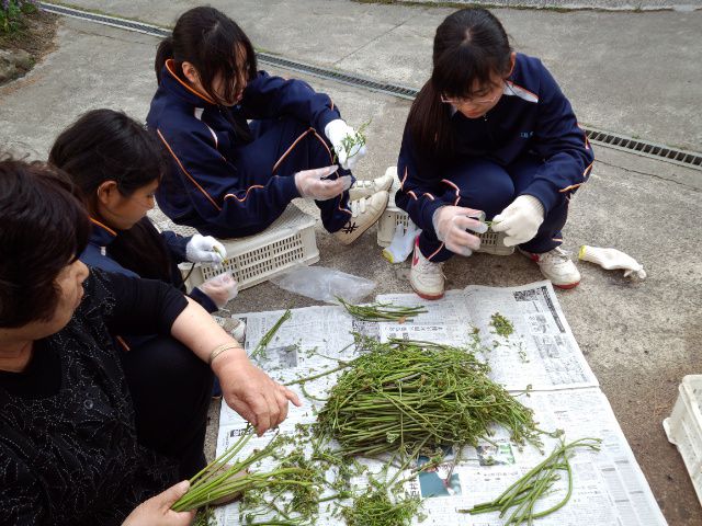 ★。★今日の朝、元気にかえりました・・・美蔵