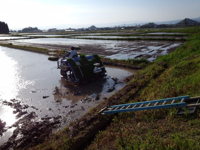 ★。★田植えがはじまりました・・・美蔵