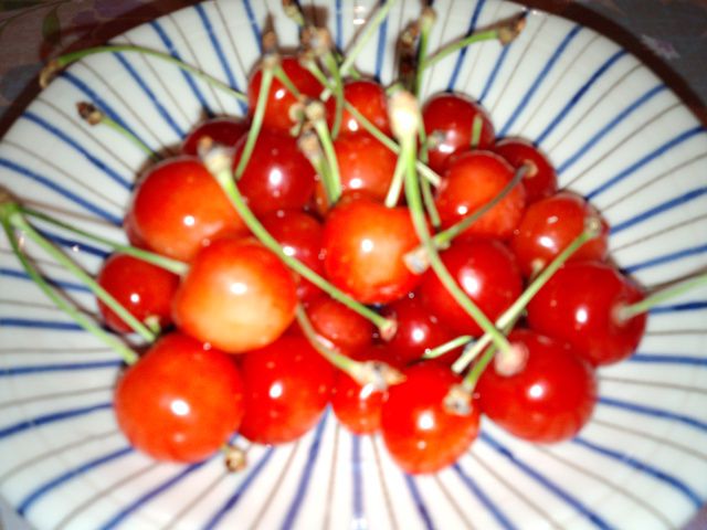 ★。★赤い宝石が届きました・・・美蔵