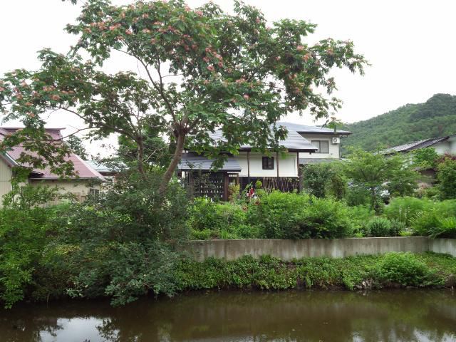★。★雨があがったみたいですが・・・美蔵