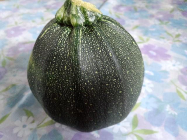 ★。★これ？ズッキニー？？？・・・美蔵