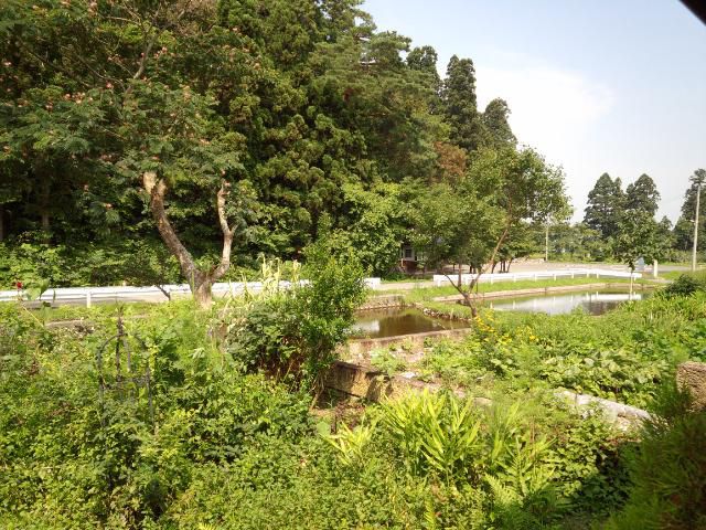 ★。★いやぁ～今日も暑くなります・・・美蔵