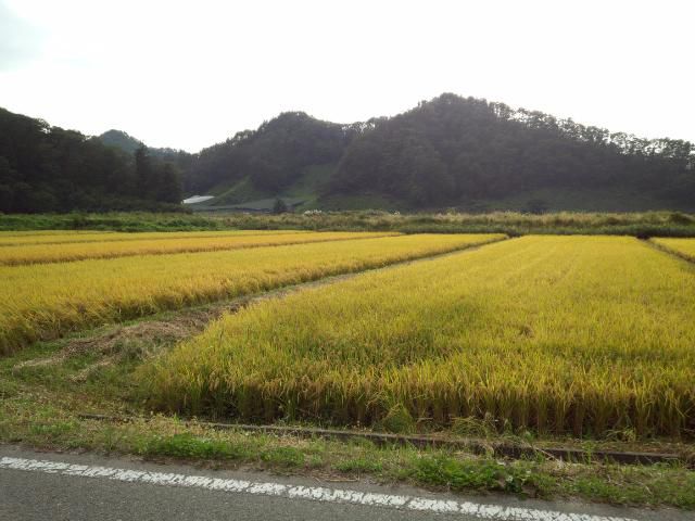★。★そろそろおいしいお米が・・・美蔵