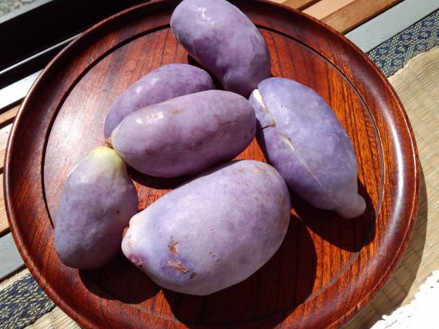★。★“あけび”をいただきました・・・美蔵