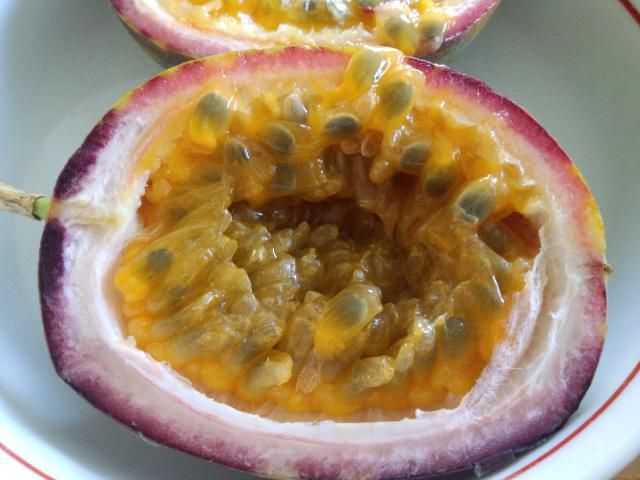 ★。★パッションフルーツのお味は・・・美蔵