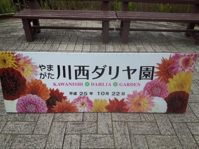 ★。★川西町のダリア公園に行ってきました・・・美蔵
