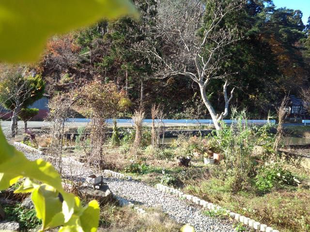 ★。★とっても天気がよいいです・・・美蔵