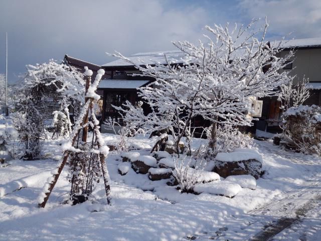 ★。★本日、雪化粧でした・・・美蔵