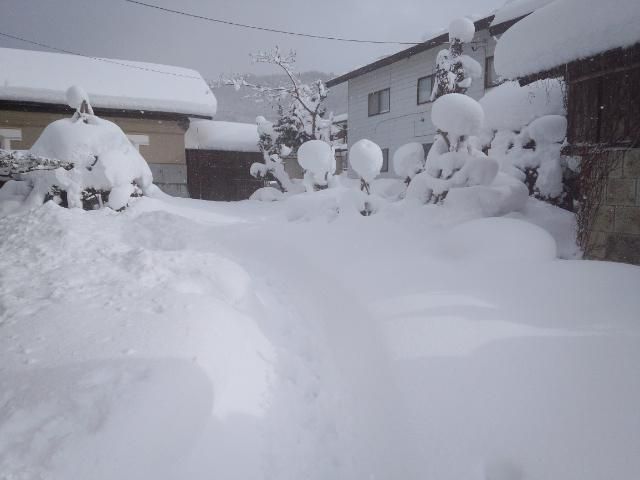★。★本日、定休日・・・美蔵