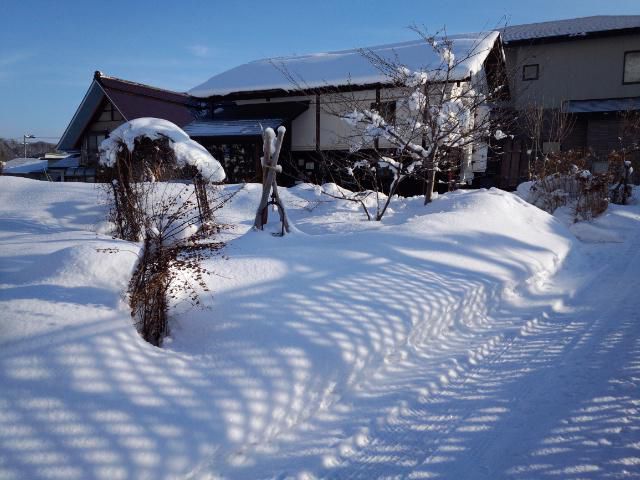 ★。★今日の朝は寒かったです・・・美蔵