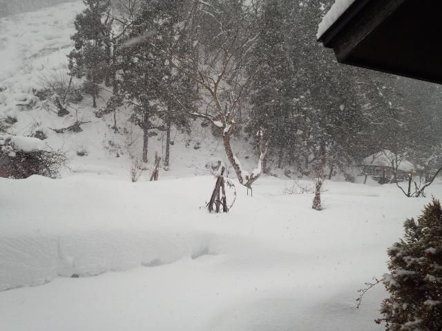 ★。★本日、大荒れの猛吹雪です・・・美蔵