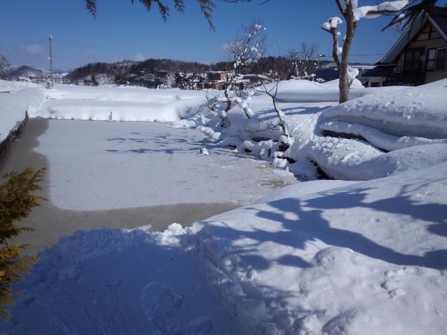 ★。★今日は、天気がよいのでしょうか？・・・美蔵