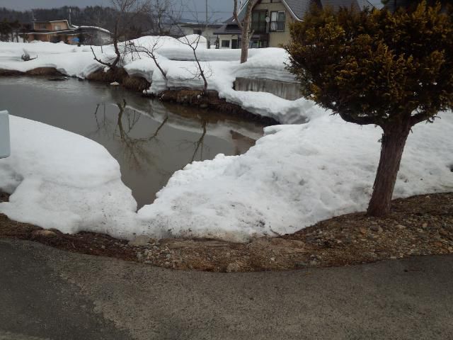 ★。★池の氷が解けました・・・美蔵