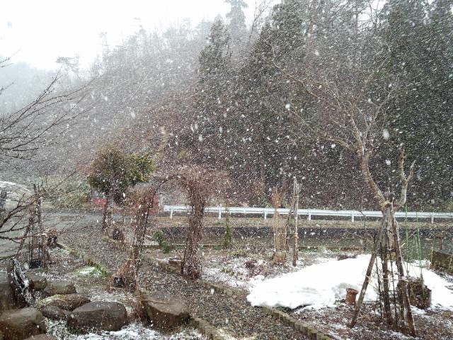 ★。★天気予報があたっております・・・美蔵