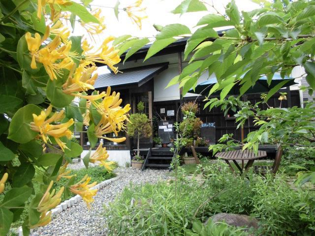 ★。★今日は雨模様ですが・・・美蔵