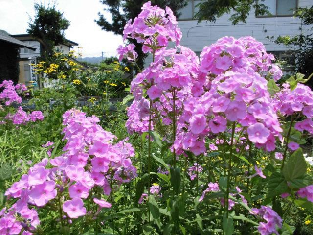 ★。★本日、定休日です・・・美蔵